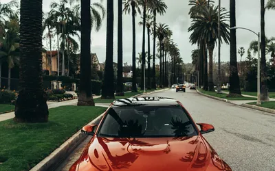 Backup Cameras, 360 Views, and Parking Tech: What's Actually Helpful?