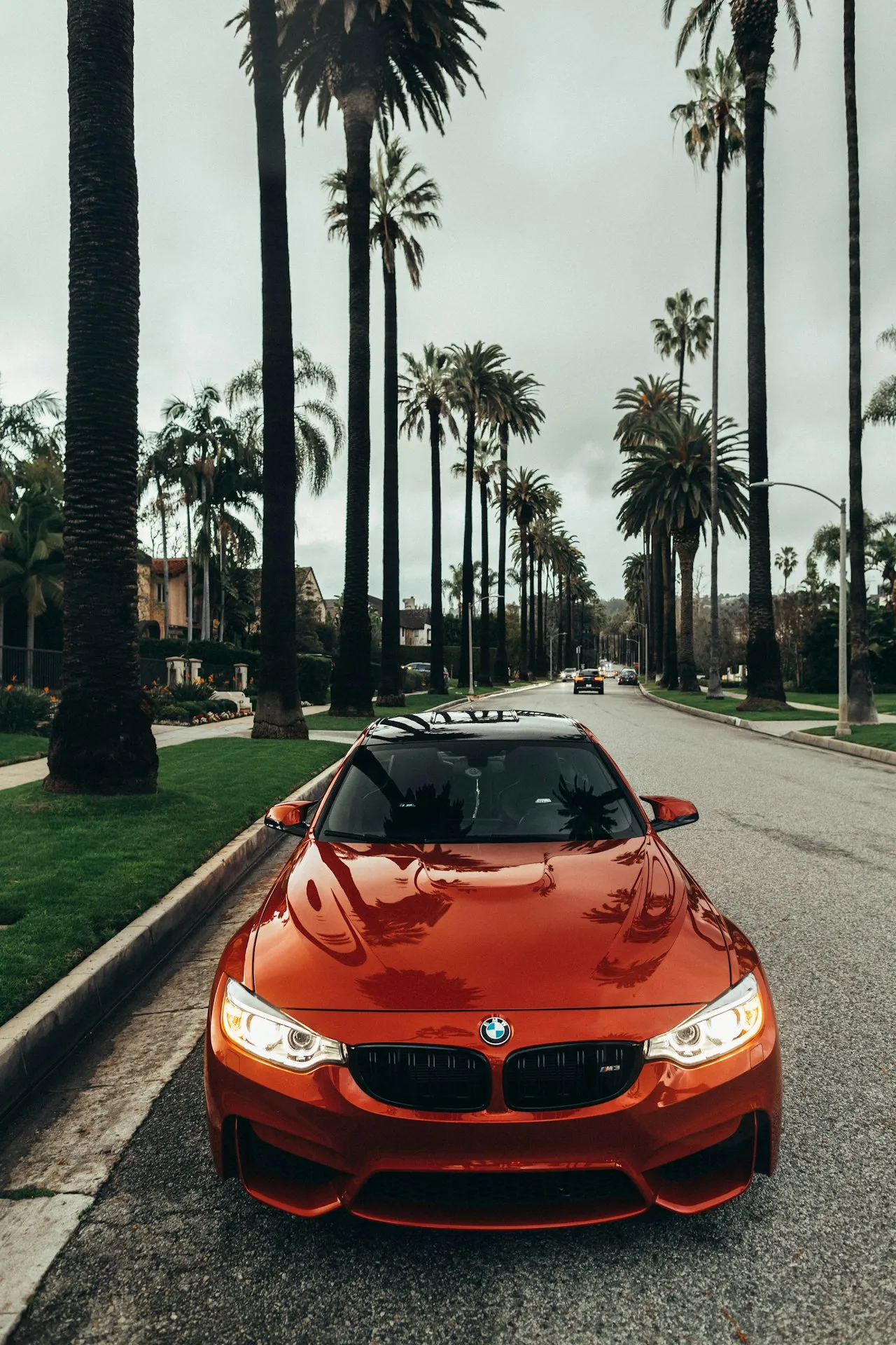 Backup Cameras, 360 Views, and Parking Tech: What's Actually Helpful?
