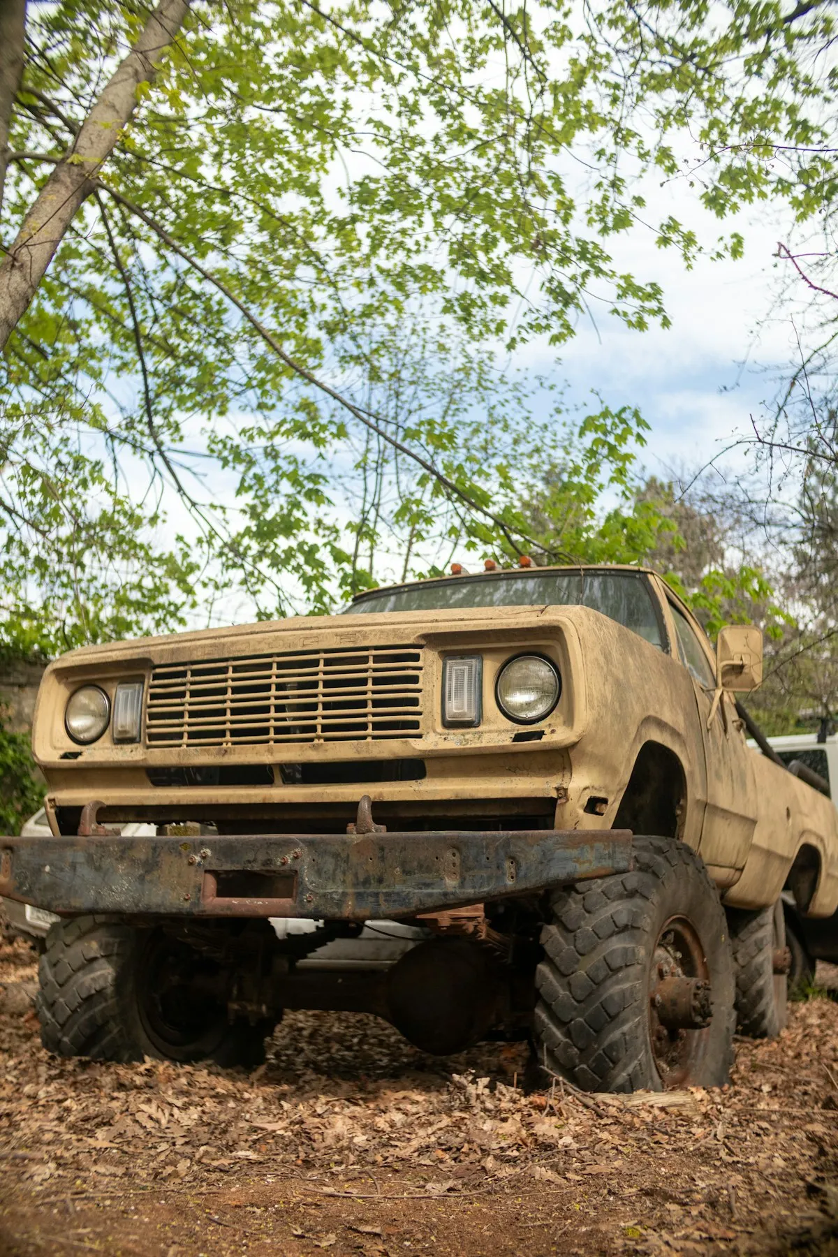 SEMA 2023 Preview: EV Builds, AI-Inspired Design, and Show-Stopping Trucks