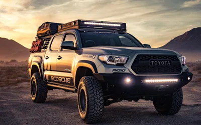Winter Event Season Guide: Shows, Auctions, and Indoor Meets Worth Watching